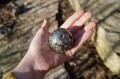 DSC07713 2.jpg