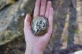 DSC07743 2.jpg