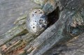 DSC07746.jpg