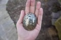 DSC07789.jpg