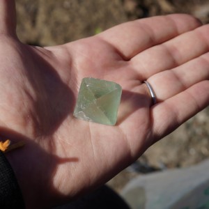 Fluoryt surowy- nauka, skupienie, praca umysłowa