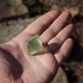 DSC08239.jpg