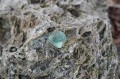 DSC08240.jpg