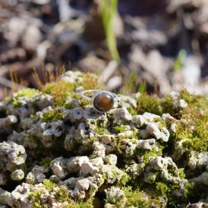 Pierścionek Srebrny- Tygrysie Oko- Rozmiar 12