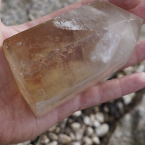 Cytryn- obfitość, finanse, radość z życia 