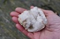 DSC02917.jpg