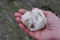 DSC02918.jpg