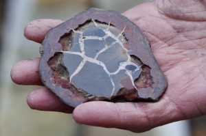 Septarian- intymność