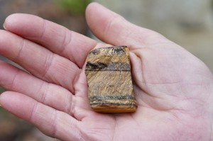 Tygrysie Oko- męska energia   