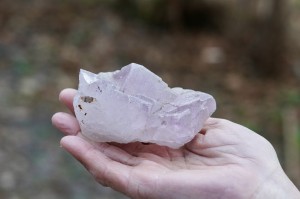 Fluoryt- nauka, skupienie, praca umysłowa    