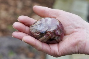  Skamieniałe drewno- dojrzałość, uziemienie, traumy rodowe 