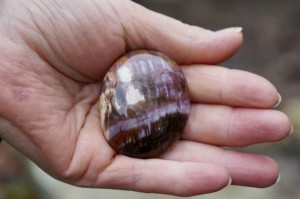   Skamieniałe drewno- dojrzałość, uziemienie, traumy rodowe  